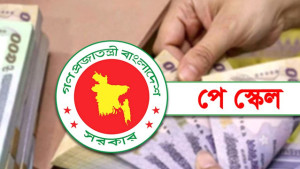 ৯ম পে-স্কেল অনুমোদন, কতো টাকা বাড়ছে মূল বেতন?