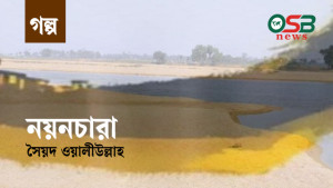 নয়নচারা