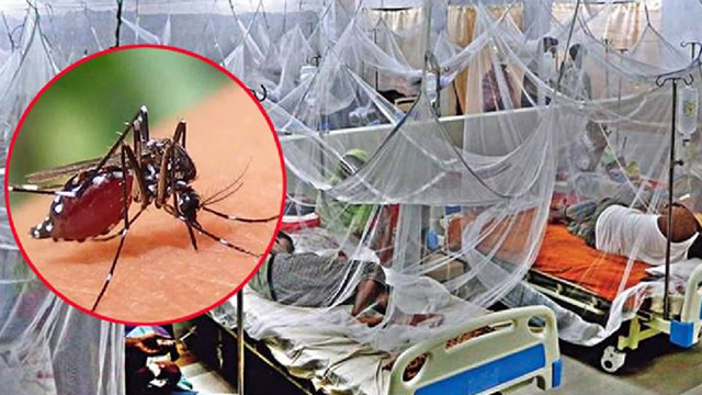 ডেঙ্গুতে ৯ জনের মৃত্যু