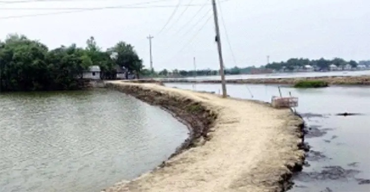 স্বাধীনতার ৫৫ বছরেও একটা ইটের সড়ক পাননি চাউলখোলাবাসী