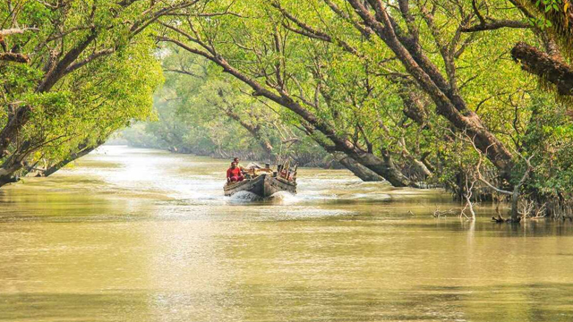 সুন্দরবন ঘেঁষা ১৮ রিসোর্ট বন্ধের নির্দেশ
