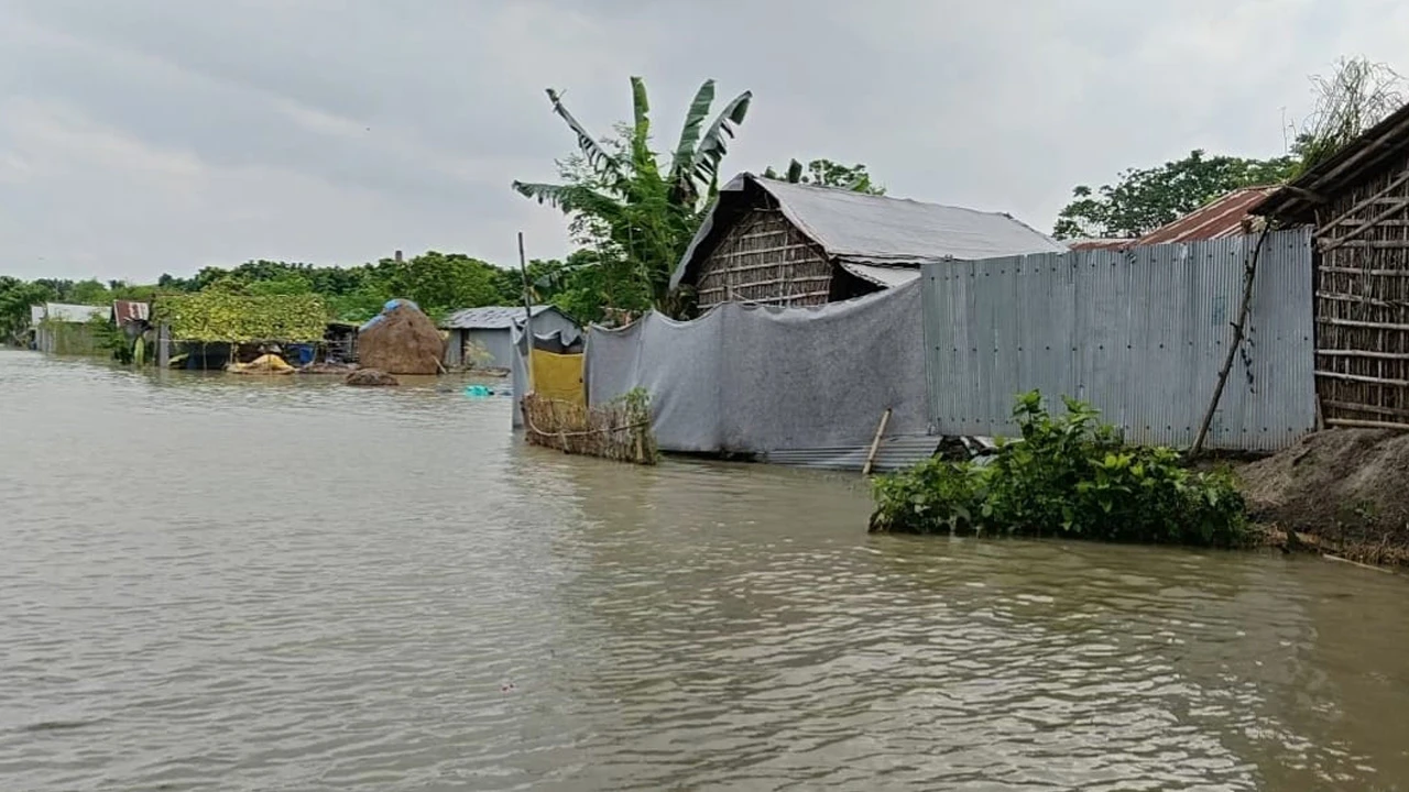 পদ্মা নদীতে বন্যা পরিস্থিতির উন্নতি
