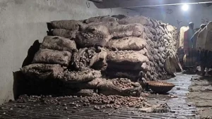 মাদারীপুরে কোল্ড স্টোরেজে পচলো ৩ কোটি টাকার আলু