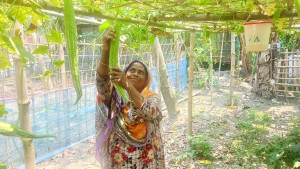 অবসরে কৃষিকাজ: মিলবে পুষ্টি, বাড়বে আয়