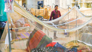 ডেঙ্গুতে এক দিনে ৬ মৃত্যু, হাসপাতালে ভর্তি ২১৫৮