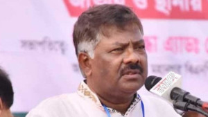 কোন ডিসেম্বর আসবেন ক্লিয়ার করেন: দুলু