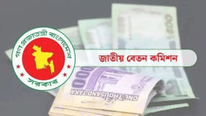 বাতিল হচ্ছে সরকারি চাকরিজীবীদের বিশেষ প্রণোদনা