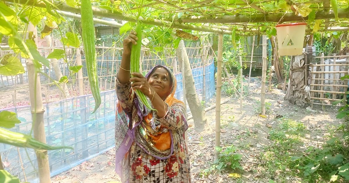 অবসরে কৃষিকাজ: মিলবে পুষ্টি, বাড়বে আয়