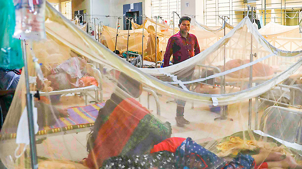 ডেঙ্গুতে ৬ জনের মৃত্যু, নতুন ভর্তি ১৫৬১