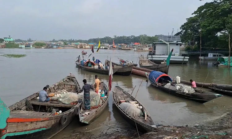 মেঘনায় মিলছে না ইলিশ, দুশ্চিন্তায় জেলেরা