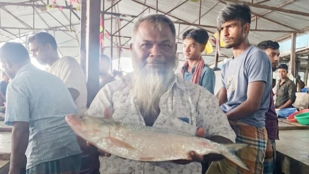 ৩ কেজির ইলিশ বিক্রি হলো ১০ হাজার টাকায়