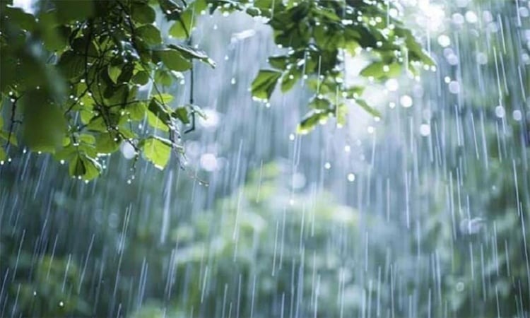 আট বিভাগে বৃষ্টির পূর্বাভাস